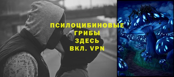 трава Армянск